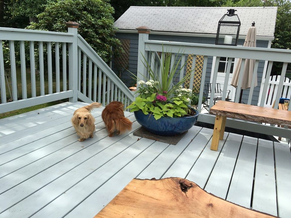 Freshly painted backyard deck and fence in South Florida
